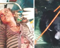 वन विभाग की रेस्क्यू में गंभीर लापरवाही : ट्रैंगक्वलाइज़ किए बिना भालू को कुएं से निकाला, भागते समय रास्ते में महिला पर बोला हमला