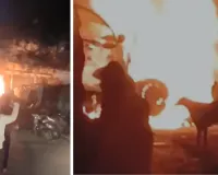 जयपुर के ईदगाह इलाके में नशे में ड्राइविंग से बड़ा हादसा : कार खंभे से टकराई, भीषण आग में बाइक भी जली