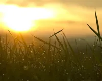 नववर्ष में समाज के निर्माण का संकल्प लें