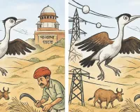 ब्रीडिंग सेंटर और गणना : आंकड़ों में झलकती आशा की किरण, 14,753 वर्ग किमी क्षेत्र में सोलर और पवन ऊर्जा पर रोक ; संरक्षण को सर्वोच्च प्राथमिकता