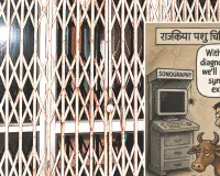 मोखापाड़ा पशु चिकित्सालय: सोनोग्राफी मशीन पर जमी धूल, काफी समय से खराब होने से नहीं हो रहा उपयोग 