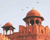 रिपब्लिक डे से पहले 7 दिन चलेगी चीलों की चिकन पार्टी, दिल्ली सरकार ने किए खास इंतजाम