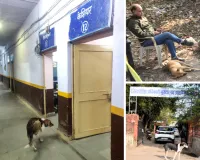 जिन्हें स्कूलों को श्वान मुक्त करने की सौंपी जिम्मेदारी, उन्हीं के ऑफिस में पल रहे कुत्ते