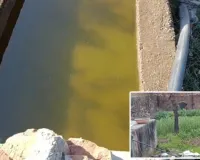 चंबल के किनारे बसी आबादी को नहीं मिल रहा पेयजल 