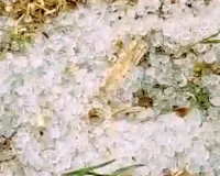 मावठ+ओले= ठिठुरन : सर्दी का डबल अटैक, जयपुर सहित कई जिलों में शीतलहर का दौर जारी