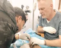 मकर संक्रांति से पहले ही पतंगों से बड़ी संख्या में घायल होने लगे परिंदे, घायल पंछियों की विदेश से आकर कर रहे सेवा