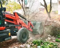 जेडीए की कार्रवाई, सरकारी भूमि पर अतिक्रमण को किया ध्वस्त 