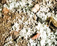 बारिश-ओलों ने गिराया पारा : अगले दो-तीन दिन कई जिलों में बढ़ेगा कोहरा और शीतलहर, तापमान में गिरावट की संभावना