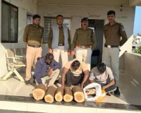 आमला एयरफोर्स चंदन चोरी केस: पुलिस की बड़ी लापरवाही, कोर्ट ने गिरफ्तारी अवैधानिक मानकर किया रिहा