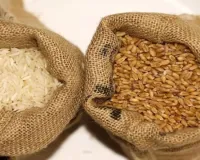 महंगाई की मार! चावल, गेहूं में साप्ताहिक तेजी: चीनी नरम-दालों, खाद्य तेलों में उतार-चढ़ाव का रूख