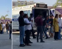 एयरपोर्ट पर आवारा कुत्तों का आतंक : हमले में महिला यात्री बुरी तरह घायल, मौके पर अफरा-तफरी 