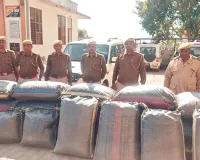 कोटा में स्कॉर्पियो से 442 किलो डोडा पोस्त की खेप पकड़ी, फायरिंग कर भागे मादक पदार्थ तस्कर 