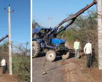 असर खबर का - छोटे पोल बदले, भण्डेड़ा फीडर पर टला बड़ा खतरा