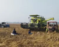 बजट में ‘धुरंधर’ खेत खलिहान: औषधीय खेती करने वाले किसान, हर वर्ग के लिए लक्षित योजनाएं तैयार की, किसानों को एआई से मिलेगी नई ताकत