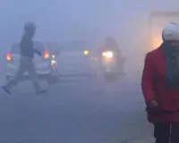 पश्चिमी विक्षोभ के कारण उत्तर, मध्य भारत में कोहरा, बारिश, बर्फबारी का अनुमान, मौसम विभाग ने जारी की चेतावनी