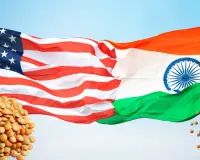 भारत-अमेरिका ट्रेड डील के बाद सस्ती होगी अमेरिकी दाल? कीमतों पर पड़ेगा बड़ा असर