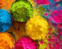 रंगों के उत्सव के लिए तैयार जयपुर : होली-धुलंडी पर होटल्स ने बनाए खास टूरिस्ट पैकेज, पर्यटकों को मिलेगा राजस्थान की संस्कृति, परंपरा और स्वाद का अनूठा अनुभव