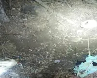 कश्मीर में सुरक्षाबलों ने गश्त में देखा आईईडी : बम निरोधक दल ने किया निष्क्रिय, इस तरह की यह दूसरी बरामदगी