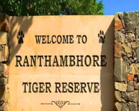 रणथंभौर में सख्ती : पर्यटकों और वन्यजीवों की सुरक्षा के लिए वन विभाग का बड़ा कदम, जीपीएस बंद और ओवरस्पीड पर गाड़ियों की रोकी जाएगी एंट्री