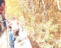 रोडवेज बस दीवार से टकराई : गहरी खाई में गिरने से बची, बस में बड़ी संख्या में बच्चें-महिलाएं थीं सवार 