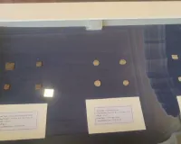 हवा महल में 17 से 19 मार्च तक लगेगी ‘कॉइंस एंड करेंसीज ऑफ राजस्थान’ प्रदर्शनी, तीन दिन तक पर्यटकों को दिखेगा इतिहास का अनोखा खजाना