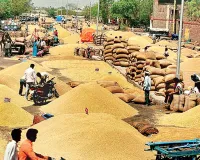 असर खबर का.... मिली सौगात: भामाशाह मंडी विस्तार का रास्ता हुआ साफ, 96 हैक्टेयर में विस्तार को राष्ट्रीय वन्यजीव बोर्ड की मंजूरी