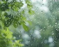 Weather Update : जयपुर सहित कई जिलों में हुई बारिश, पारा 20 डिग्री तक गिरा 