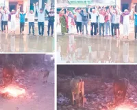 बांसी में एक पखवाड़े से सफाई व्यवस्था ठप : बिगड़े हालात, नालियां जाम, सड़कों पर फैल रही गंदगी