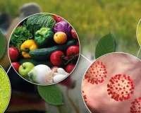 जानलेवा बनते जा रहे हैं कीटनाशक