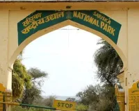 सरिस्का में मीडिया कार्यशाला और सफारी का आयोजन : टाइगर रिजर्व की चुनौतियों पर होगी चर्चा, मीडिया को प्रबंधन और वन्यजीव संरक्षण की गतिविधियों से रूबरू कराने की पहल