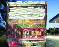 जयपुर में ओवरलोड वाहनों पर बड़ा एक्शन : 30 वाहन जब्त, लाइसेंस निलंबन की तैयारी