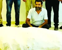 ऑपरेशन क्लीन स्वीप : प्याज की फसल में अफीम के 363 पौधे जब्त, एक आरोपी गिरफ्तार