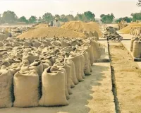 धान खरीदी घोटाला: फर्जी तौल पत्रक बनाकर भुगतान लेने मामले में फरार आरोपी गिरफ्तार, पुलिस जांच शुरू