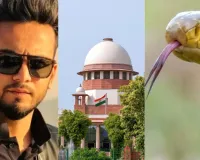 सांप के जहर मामले में यूट्यूबर एल्विश यादव को बड़ी राहत : सुप्रीम कोर्ट ने खारिज की प्राथमिकी, सांप के जहर का इस्तेमाल और रेव पार्टियों में शामिल होने का लगा था आरोप