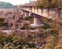 अतिक्रमणों ने घोंट डाला साहबी नदी का दम, अब नदी से हो गई नाले में तब्दील