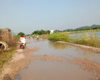 एमडीआर-183 पर अधूरी सड़क बनी मुसीबत,वन विभाग की रोक से अटका 5.9 किमी निर्माण