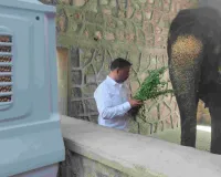 गर्मी में हाथियों की शाही देखभाल : हाथी गांव बना कूल जोन, आयुर्वेदिक तेल से सुरक्षा-भीषण गर्मी में खास इंतजाम