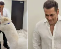 सलमान खान ने अपने सबसे प्यारे साथी के साथ दिखाईं खास झलकियां : सोशल मीडिया पर वायरल हुईं तस्वीरें, दिखा एक प्यारा और सॉफ्ट अंदाज