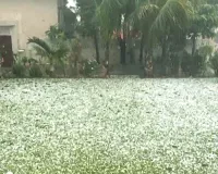 प्रदेश में बदला मौसम : कई जिलों में गिरे ओले, बारिश के कारण फसलों को नुकसान