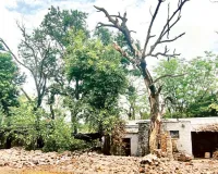 असर खबर का : एमबीएस अस्पताल में नशेड़ियों के अड्डे बने 17 खंडहर क्वार्टर ढहाने का काम शुरू, 14 जमींदोज