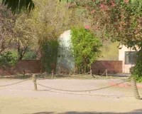 भीषण गर्मी में वन्यजीवों को राहत: झालाना, आमागढ़ और बीड पापड़ में रोज ट्यूबवेल से भर रहे जलस्रोत; वन्यजीव गणना की तैयारियां भी तेज 