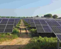 पीएम-कुसुम योजना में राजस्थान ने छुआ 4 हजार मेगावाट का आंकड़ा, 2.62 लाख किसानों को दिन में बिजली 