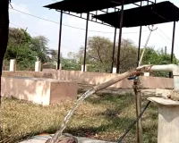 असर खबर का : पेयजल संकट से मिली राहत, पानी की मोटर दुरुस्त की गई