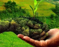 प्राकृतिक खेती से बेहतर होगी धरती की सेहत