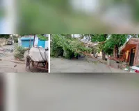 कोटा में बवंडर के साथ सैकड़ों खंभे, पेड और होर्डिंग उड़े