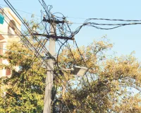 बिजली के तारों पर झूल रहे पेड़, हर समय हादसों का अंदेशा