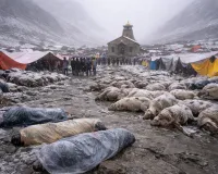 उत्तराखंड में तबाही का मंजर: खराब मौसम के चलते 48 घंटे में चार श्रद्धालुओं सहित 400 से ज्यादा मवेशियों की मौत, जनजीवन अस्त-व्यस्त