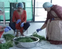 उत्तराखंड में 'वेस्ट टू वेल्थ' क्रांति : पौड़ी गढ़वाल में माल्टा के छिलकों से तैयार हो रहे हर्बल उत्पाद, महिलाओं को मिल रहा स्वरोजगार