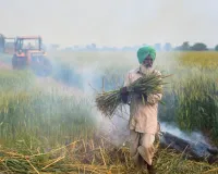 जागरूक हैं किसान, फिर भी जल रही पराली; रिपोर्ट ने बताई असली वजह
