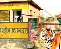असर खबर का : एडीएम ने एसडीएम व तहसीलदार को दिए जांच कर कार्रवाई के निर्देश